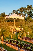 ASHBROOK HOUSE, NORTHAMPTONSHIRE: POTAGER, VEGETABLE GARDEN, WOODEN RAISED BEDS, BENCH, SEAT, PARASOL, UMBRELLA BY TITANIA