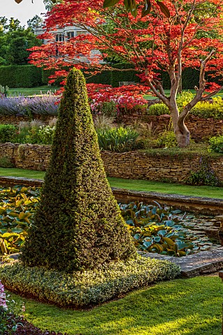 THE_SUMMERHOUSE_OXFORDSHIRE_JULY_SUMMER_CANAL_POND_POOL_WATER_GARDEN_BORDERS_YEW_PYRAMIDS_MAPLES_TRE