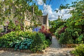 THE SUMMERHOUSE, OXFORDSHIRE: FRONT GARDEN, SHADE, SHADY, PATHS, HOSTAS, DELPHINIUMS, PERSICARIA, HOUSE, COTSWOLDS