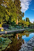THE SUMMERHOUSE, OXFORDSHIRE: JULY, SUMMER, CANAL, POND, POOL, WATER, GARDEN, BORDERS, TREES, WATERLILIES, GIANT REDWOOD, REFLECTED, REFLECTIONS