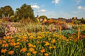 BROWN FLOWERS, OXFORDSHIRE: THE CUTTING GARDEN IN SUMMER, FLOWERS, BLOOMS, RUDBECKIAS