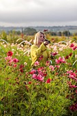 FLOWER & FARMER: JULES PICKING COSMOS IN THE FLOWER FIELD, SEPTEMBER, SUMMER