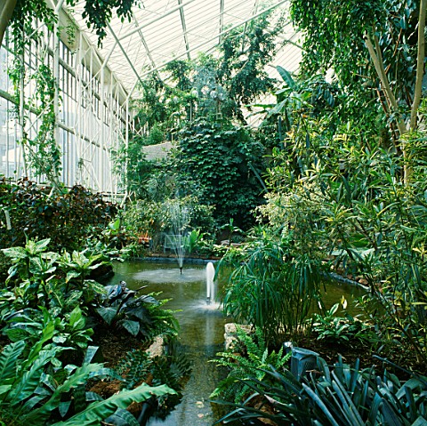 THE_BARBICAN_CONSERVATORY_GARDEN__LONDON