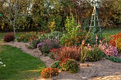 NORWELL NURSERIES, NOTTINGHAMSHIRE: THE SAND BEDS, BORDERS, OCTOBER, PERENNIALS, FALL, BLOOMS, BLOOMING, GAURA, HELENIUMS, CHRYSANTHEMUMS, WOODEN TRIPOD