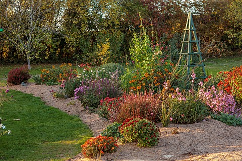 NORWELL_NURSERIES_NOTTINGHAMSHIRE_THE_SAND_BEDS_BORDERS_OCTOBER_PERENNIALS_FALL_BLOOMS_BLOOMING_GAUR