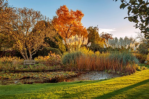 ST_TIMOTHEE_BERKSHIRE_AUTUMN_FALL_OCTOBER_FOLIAGE_LAWN_WATER_POND_POOL_LAKE_PAMPAS_GRASS_LIRIODENDRO