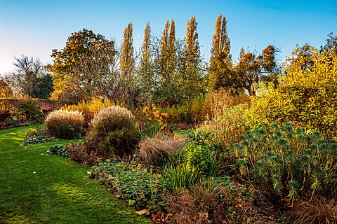 ST_TIMOTHEE_BERKSHIRE_AUTUMN_FALL_OCTOBER_FOLIAGE_LAWN_BORDER_KNIPHOFIA_RED_HOT_POKERS_MISCANTHUS_KL