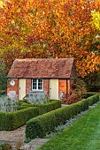 ST TIMOTHEE, BERKSHIRE: AUTUMN, OCTOBER, FALL, FOLIAGE, HEDGES, HEDGING, OUTBUILDING, SHED, LAWN, RED OAK, QUERCUS RUBRA
