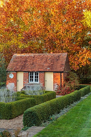 ST_TIMOTHEE_BERKSHIRE_AUTUMN_OCTOBER_FALL_FOLIAGE_HEDGES_HEDGING_OUTBUILDING_SHED_LAWN_RED_OAK_QUERC