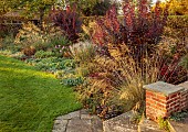 ST TIMOTHEE, BERKSHIRE: AUTUMN, OCTOBER, FALL, FOLIAGE, HEDGES, HEDGING, COTINUS COGGYGRIA ROYAL PURPLE, STIPA GIGANTEA, STEPS