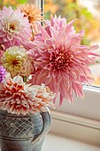 THE LAUNDRY GARDEN, DENBIGH, WALES: VASE, CONTAINER, ARRANGEMENT OF DAHLIAS IN WINDOWSILL, NOVEMBER, FALL, FLOWERS, BLOOMS, BLOOMING, FLOWERING, CUT FLOWERS