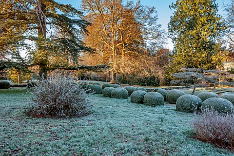 ROCKCLIFFE_GARDEN_GLOUCESTERSHIRE_FROST_FROSTY_ENGLISH_COUNTRY_GARDEN_WINTER_SUNRISE_CLIPPED_TOPIARY