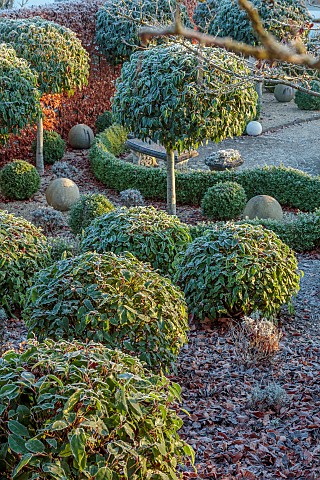ORDNANCE_HOUSE_WILTSHIRE_COUNTRY_GARDEN_FROST_FROSTY_WINTER_SUNRISE_DAWN_CLIPPED_TOPIARY_PORTUGUESE_