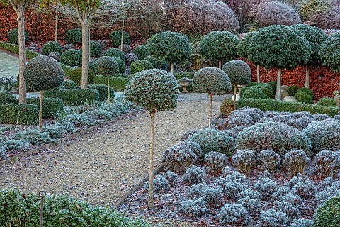 ORDNANCE_HOUSE_WILTSHIRE_FROST_FROSTY_WINTER_FORMAL_GRAVEL_PATHS_CLIPPED_LAVENDER_PORTUGUESE_LAUREL_