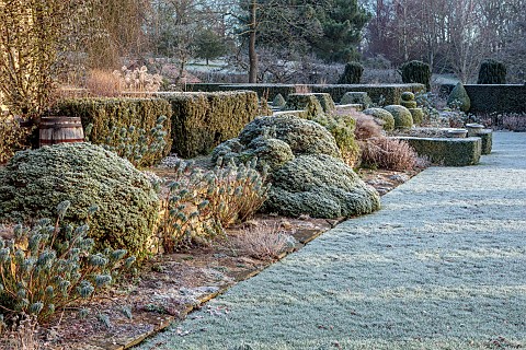 LONG_BARN_GARDENS_KENT_FROST_WINTER_LAWN_CLIPPED_TOPIARY_HEDGES_HEDGING_BORDERS