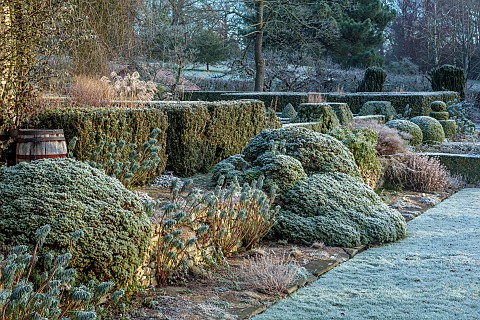 LONG_BARN_GARDENS_KENT_FROST_WINTER_LAWN_CLIPPED_TOPIARY_HEDGES_HEDGING_BORDERS