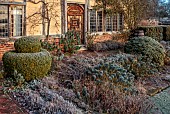 LONG BARN GARDENS, KENT: FROST, WINTER, CLIPPED TOPIARY HEDGES, EUPHORBIA, BORDERS