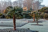 BRODSWORTH HALL, YORKSHIRE: DAWN, SUNRISE, WINTER, JANUARY, FROST, LAWN, CLIPPED TOPIARY SHRUBS, HEDGES, HEDGING, EVERGREENS, VICTORIAN, BORDERS, FORMAL, GARDEN, TRACHYCARPUS