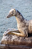 BRODSWORTH HALL, YORKSHIRE: WINTER, JANUARY, FROST, MARBLE GREYHOUND DOG SCULPTURE ACQUIRED BY ITALIAN SCULPTOR CHEVALIER G. M. CASENTINI