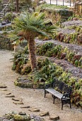 BRODSWORTH HALL, YORKSHIRE: WINTER, JANUARY, FROST, VICTORIAN, MIST, FOG, FOLLY, GROTTO, FERN DELL, STEPS, FERNS, TRACHYCARPUS FORTUNEI, WOOD, METAL, BENCH, SEAT