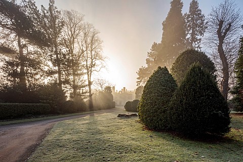 BRODSWORTH_HALL_YORKSHIRE_WINTER_JANUARY_FROST_VICTORIAN_MIST_FOG_HEDGES_HEDGING_LAWN