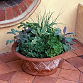 TERRACOTTA POT PLANTED WITH FOLLOWING HERBS: PARSLEY  SAGE  AND CHIVES