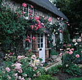ASHTREE COTTAGE FRONT DOOR WITH ROSES PINK PERPETUAL  COMPASSION  SWAN LAKE & HANDEL (LTOR) REGALE LILIES(FG)
