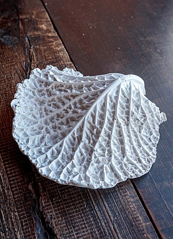 JESS_WHEELER_NORTH_WALES_A_GESSO_PLASTER_CABBAGE_IN_RELIEF_MOULD