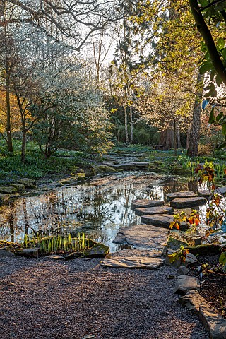 MORTON_HALL_GARDENS_WORCESTERSHIRE_THE_STROLL_GARDEN_APRIL_WATER_POOL_POND_STEPPING_STONES_SPRING_PR