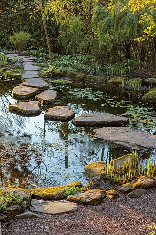 MORTON_HALL_GARDENS_WORCESTERSHIRE_THE_STROLL_GARDEN_APRIL_WATER_POOL_POND_STEPPING_STONES_SPRING