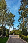 MORTON HALL GARDENS, WORCESTERSHIRE: GRAVEL TERRACE, CLIPPED BOX BALLS, STATUE, GREEN, TREES, LAWN, HUGE WELLINGTONIA, SEQUOIADENDRON GIGANTEUM