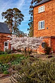 MORTON HALL GARDENS, WORCESTERSHIRE: WEST GARDEN, APRIL, BLOSSOM, WHITE BLOOMS, FLOWERS, CHERRY, TREES, PRUNUS INCISA THE BRIDE