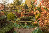THE LASKETT, HEREFORDSHIRE: APRIL, CLIPPED TOPIARY YEW IN SHADY GARDEN, SERPENTINE WALK, MORNING LIGHT, PATHS