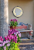 THE LASKETT, HEREFORDSHIRE: APRIL, THE V AND A TEMPLE, PLAQUE BY SIMON VERITY IN TEMPLE, CONTAINERS OF TULIPS, TULIPA CANDY PRINCE, TULIPA PURPLE PRINCE, BULBS, SEAT