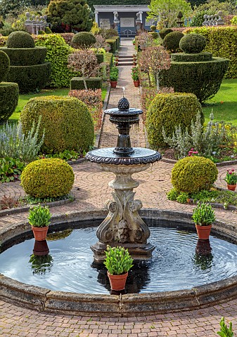 THE_LASKETT_HEREFORDSHIRE_APRIL_FOUNTAIN_COURT_FOUNTAIN_WATER_PATH_CLIPPED_TOPIARY_SHAPES_LAWNS_PATH