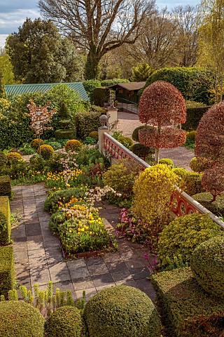 THE_LASKETT_HEREFORDSHIRE_APRIL_HOWDAH_COURT_AND_GARDEN_ENTRANCE_FROM_THE_HOUSE_WALL_CLIPPED_TOPIARY