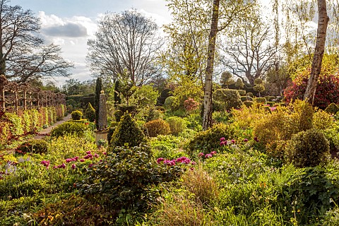 THE_LASKETT_HEREFORDSHIRE_APRIL_THE_SERPENTINE_WALK_SHADY_AREA_WITH_CLIPPED_TOPIARY_SHAPES_PURPLE_FL