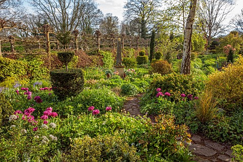 THE_LASKETT_HEREFORDSHIRE_APRIL_THE_SERPENTINE_WALK_SHADY_AREA_WITH_CLIPPED_YEW_TOPIARY_PURPLE_FLOWR