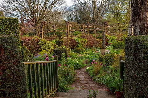 THE_LASKETT_HEREFORDSHIRE_APRIL_PATH_INTO_THE_SERPENTINE_WALK_SHADY_AREA_WITH_CLIPPED_YEW_TOPIARY_PU