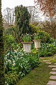 CHENIES MANOR, BUCKINGHAMSHIRE: APRIL, TULIPS, BULBS, WHITE BORDER WITH DAFFODILS, WHITE TULIPS, WHITE STONE CONTAINERS WITH WHITE NARCISSUS, PATH