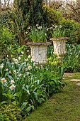 CHENIES MANOR, BUCKINGHAMSHIRE: APRIL, TULIPS, BULBS, WHITE BORDER WITH DAFFODILS, WHITE TULIPS, WHITE STONE CONTAINERS WITH WHITE NARCISSUS, PATH