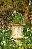 CHENIES MANOR, BUCKINGHAMSHIRE: APRIL, TULIPS, BULBS, WHITE BORDER WITH DAFFODILS, WHITE TULIPS, WHITE STONE CONTAINERS WITH WHITE NARCISSUS