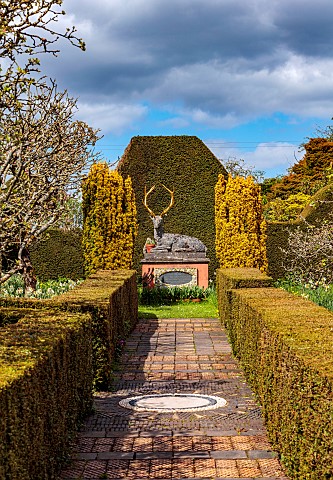 THE_LASKETT_HERFEFORDSHIRE_DESIGNER_ROY_STRONG_APRIL_PATH_HEDGES_HEDGING_STAG_AT_END_OF_TATIANAS_WAL