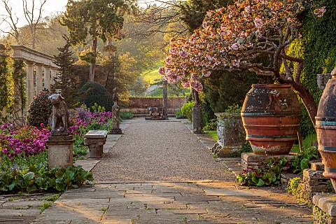IFORD_MANOR_WILTSHIRE_APRIL_SUNSET_TERRACE_CLASSICAL_COUNTRY_GARDEN_CHERRY_URNS_POTS_CONTAINERS_TULI