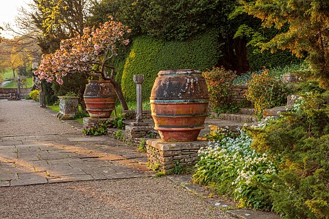 IFORD_MANOR_WILTSHIRE_APRIL_SUNSET_TERRACE_CLASSICAL_COUNTRY_GARDEN_CHERRY_URNS_POTS_CONTAINERS_ITAL