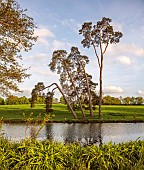 FOSCOTE MANOR, BUCKINGHAMSHIRE: APRIL, SPRING, THE LAKE AND TREES, ROMANTIC, LANDSCAPE