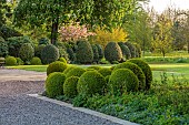 MORTON HALL GARDENS, WORCESTERSHIRE: MAY, SPRING, COUNTRY, GARDEN, LAWN, CLIPPED TOPIARY BOX BALLS, GREEN