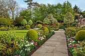 MORTON HALL GARDENS, WORCESTERSHIRE: MAY, SPRING, COUNTRY, GARDEN, SOUTH GARDEN, BORDER, TULIPS, LAWN, PYRUS SILVER SAILS, WALLS, WALLED