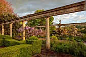 IFORD MANOR, WILTSHIRE: MAY, SPRING, PURPLE FLOWERS OF WISTERIA SINENSIS ON GRAND TERRACE