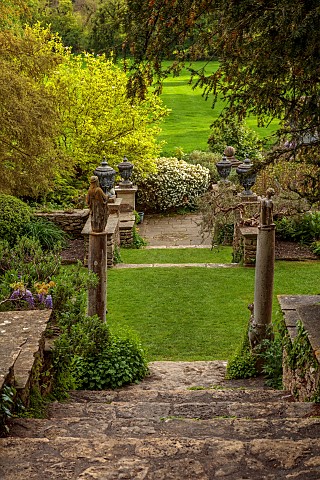 IFORD_MANOR_WILTSHIRE_MAY_SPRINGVIEW_DOWN_STEPS_TO_CHOISYA_AZTEC_PEARL_GRASS_LAWNS_STATUES